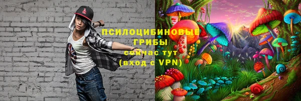 apvp Алексеевка