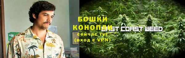 ПСИЛОЦИБИНОВЫЕ ГРИБЫ Алзамай