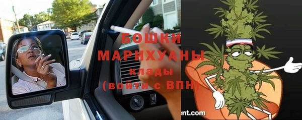 ПСИЛОЦИБИНОВЫЕ ГРИБЫ Алзамай