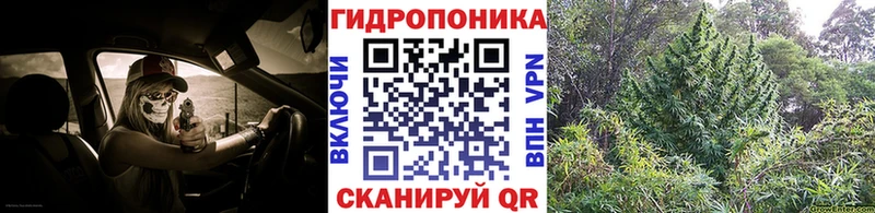 Шишки марихуана семена  Сунжа 